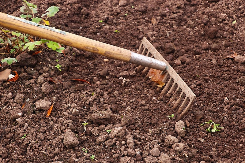 Gardening Enthusiasts